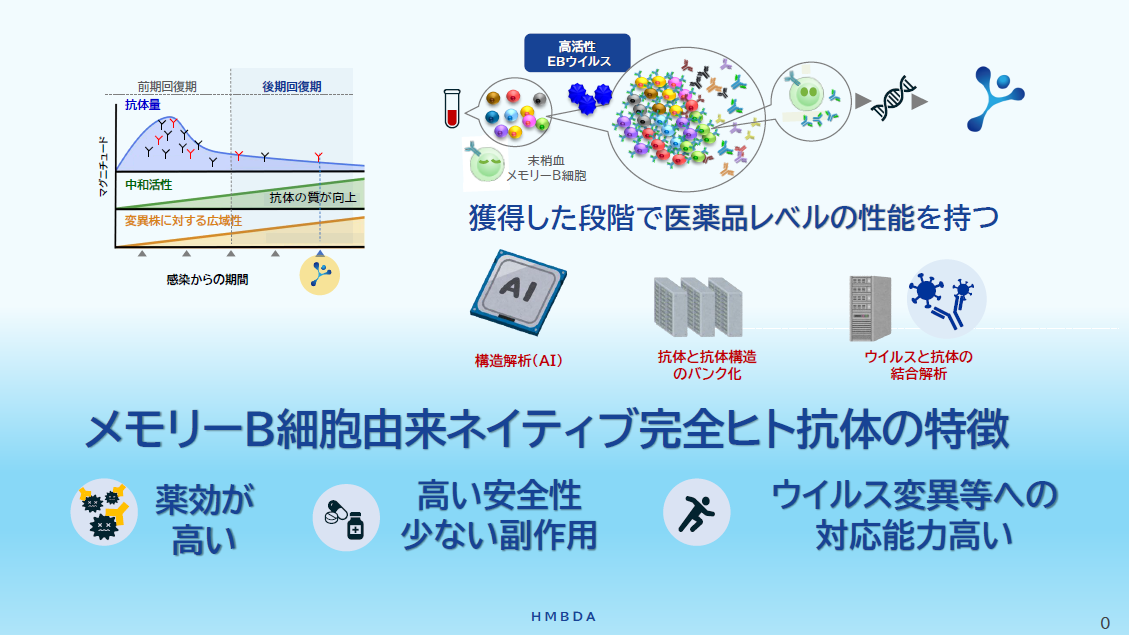 メモリーB細胞由来ネイティブ完全ヒト抗体の特徴