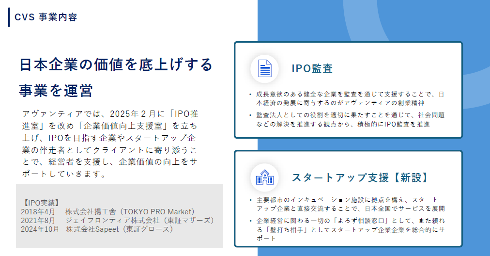 CVS事業内容