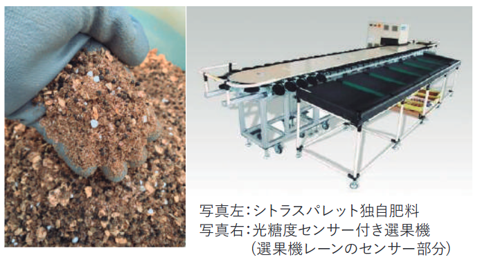 シトラスパレット独自肥料と光糖度センサー付き選果機(選果機レーンのセンサー部分)