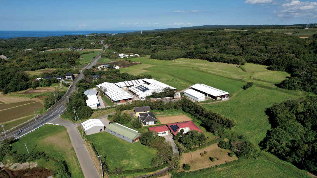 mulberry 種子島の牛舎と牧草地